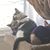 Tracie Tezak's profile image