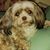 Linda Wooley's profile image