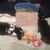 Nena Altobelli's profile image