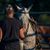 Elk Ady's profile image
