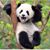 Jodi Moon's profile image