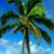 Judy Cimino Wieland's profile image