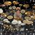 Mark Gausel's profile image
