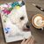 Debbie Liggon Fleming's profile image