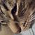 Beth Dews Baxter's profile image