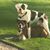 Jackie Kishel Monahan's profile image