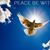 Stacey H.'s profile image
