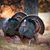 Jerry Franklin Jr.'s profile image