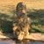 Nona Compton's profile image