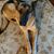 Paula Houle's profile image