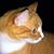 Carrie Miller's profile image
