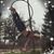 Samantha Marie Brigham Arney's profile image