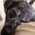 Holly Lamb's profile image