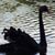 Tina Marie Halsteter's profile image