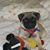 Sandra Mason's profile image