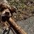 Christy Boisvert Goodwin's profile image