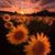 Brandy Bakker Donaldson's profile image