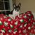 Cindy Mozingo's profile image