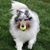Barbara Scott Knupp's profile image