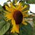 Kelly La Pine's profile image