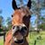 Traci Woodard's profile image