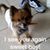 Holly Tran's profile image