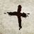 Daren Popple's profile image