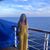 Madison Highsmith's profile image
