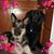 Debra Paschke's profile image