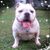 Cindy Eichelsderfer Sink's profile image