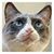 Penni Bolton's profile image