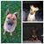 Cindy Cruz Ledesma's profile image