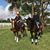 Judith E Cardella's profile image