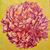 Autumn Renee Marble's profile image
