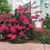 Becky Renee Mostyn's profile image