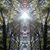 Kevin Mckinney's profile image