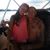 RyanRebecca Bobzien's profile image
