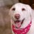 Teresa Martin's profile image