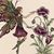 Ann Matijasich Thornton's profile image