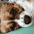 Winnie Winn JoeWeiss's profile image