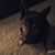 Jessie Tiller's profile image