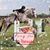 Lisa Gourley's profile image