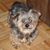 Joan Wiles's profile image