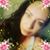 Kelly M Halloran's profile image