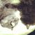 Liz Smith's profile image