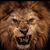 Cain Sanchez's profile image