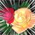 Paula Martin's profile image