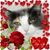 Linda G Davenport's profile image