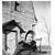 Julianna Rivard's profile image