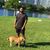 Vignesh Chandra's profile image